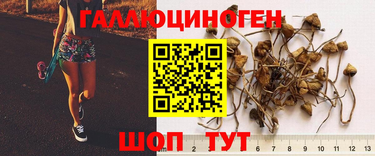 Псилоцибиновые грибы Cubensis  Вход с VPN  Галлюциногенные грибы Psilocybe  Сухой Лог 